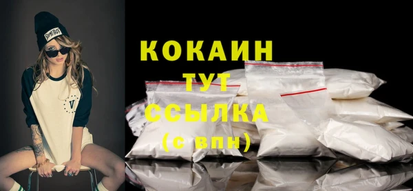 твердый Гусев