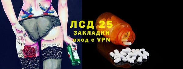 твердый Гусев