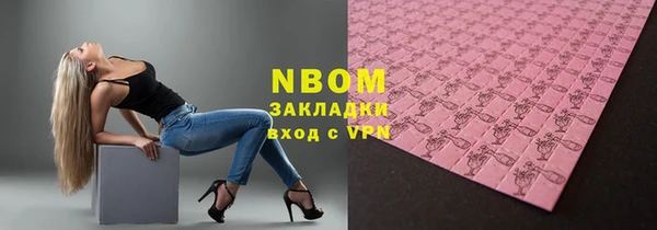 твердый Гусев