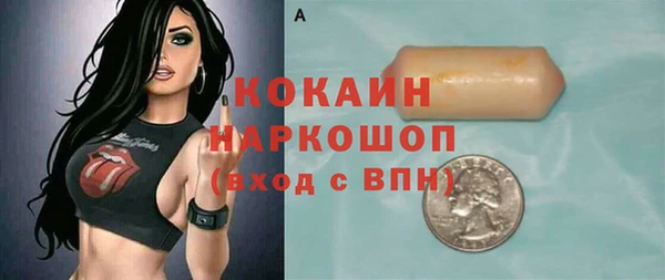 твердый Гусев