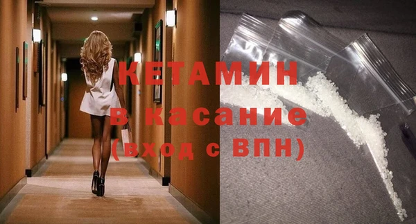 твердый Гусев