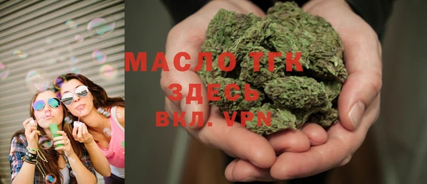 твердый Гусев