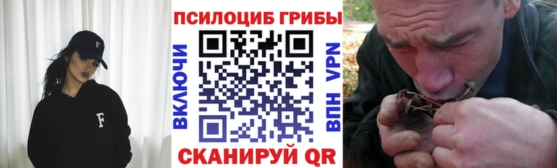 Галлюциногенные грибы Psilocybine cubensis  Питкяранта 